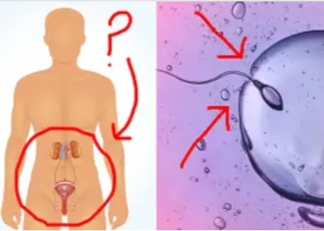 Can You Make It Through This Sex Ed Version Of Two Truths And A Lie? Can You Make It Through This Sex Ed Version Of Two Truths And A Lie?