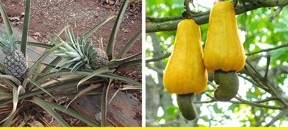 this will change the way you look at food