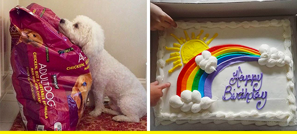 21 Cult-Favorite Items at Costco