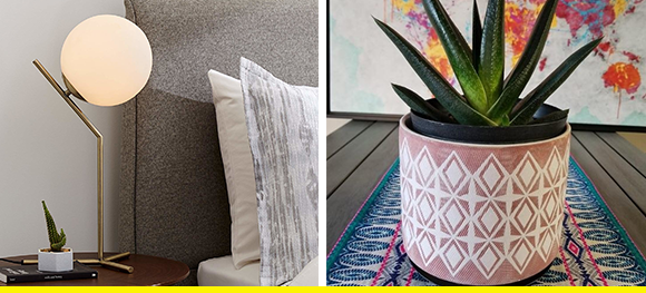 Things To Buy On Amazon Prime Day That Only Look Expensive