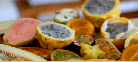 fruit fruit