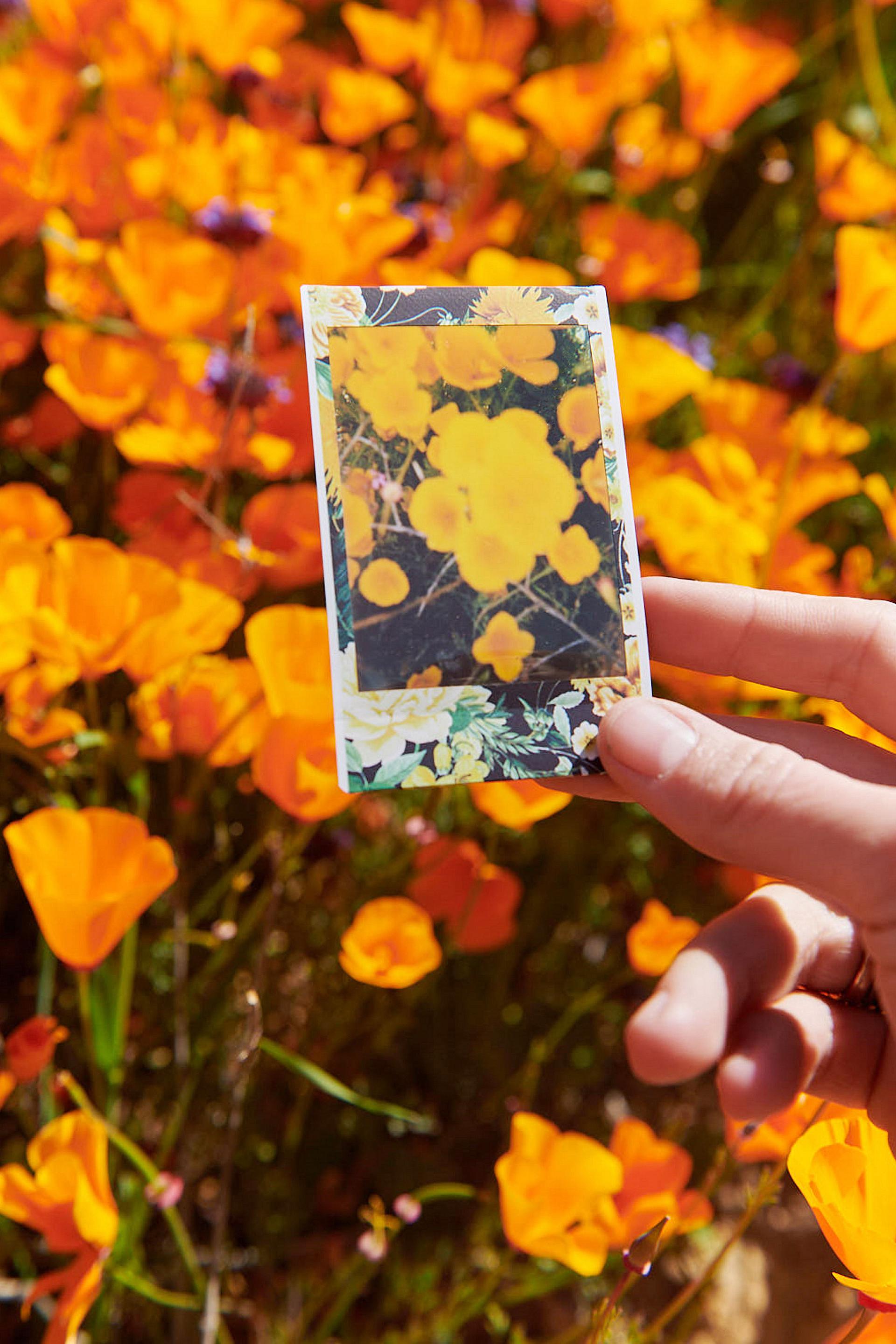 (image) Sign up to win a graduation giveaway from Urban Outfitters and Fujifilm!