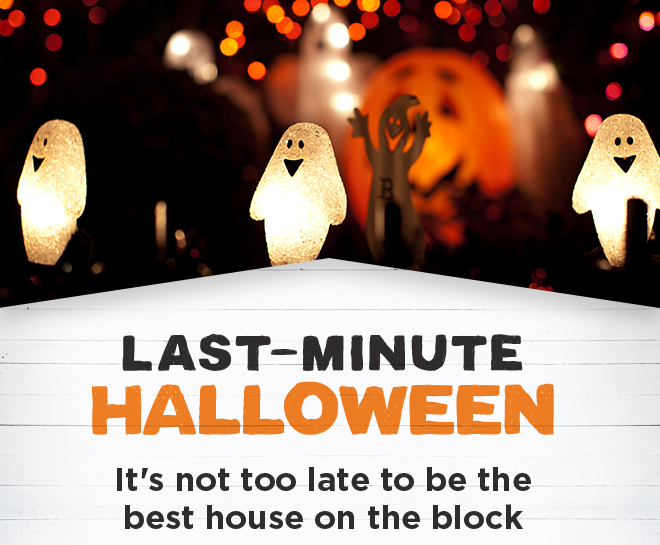 LAST-MINUTE HALLOWEEN | It's not too late to be the best house on the block