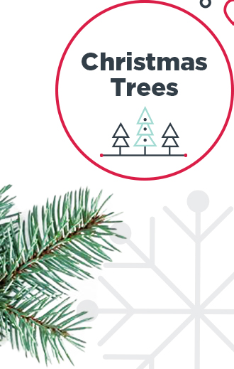 Christmas Trees